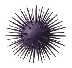 Obraz premium Purple sea urchin with long, slender spines and spherical body