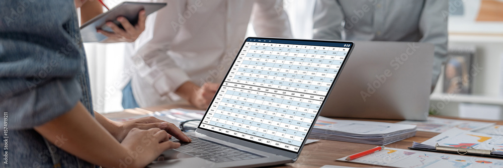 Poster accounting software on computer screen showing financial statement spreadsheets and account balance 