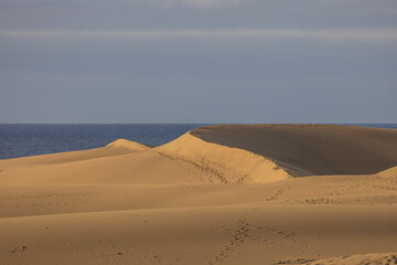 Sand dunes in the Maspalomas area of ​​Gran Canaria Spain