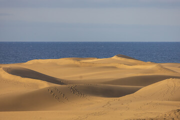 Sand dunes in the Maspalomas area of ​​Gran Canaria Spain