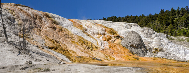 Scenic panoramic view of the Travertine Terraces at Mammoth Hot Springs in Yellowstone National Park