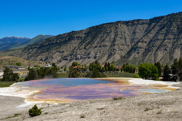 Scenic landscape view of the Palette Spring at Mammoth Hot Springs in Yellowstone National Park
