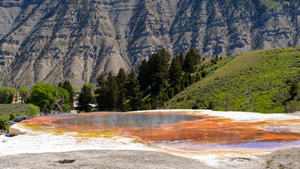 Scenic landscape view of the Palette Spring at Mammoth Hot Springs in Yellowstone National Park