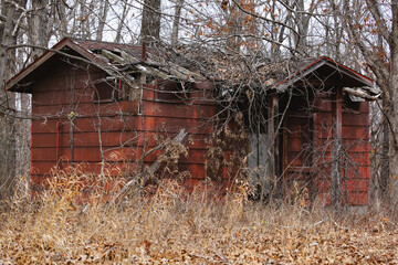 An abandoned cabin in the woods.