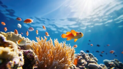 Vibrant coral reef teeming with colorful fish under a bright sun