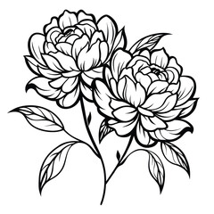 Black and white peony flower line art. Vector illustration of a floral bouquet with two peonies and leaves, isolated on a white background. Tattoo-style drawing.