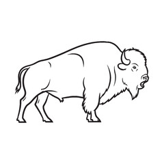 Strong Bison Determined Character Evident - Bison vector - Bison Line art - Bison Drawing - Vector Lineart of Bison - Bison illustration - its powerful core fierce essence

