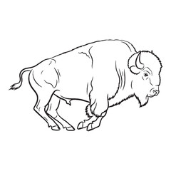 Profound Bison Deep Resilience Conveyed - Bison vector - Bison Line art - Bison Drawing - Vector Lineart of Bison - Bison icon - its enduring hardy unchanging soul

