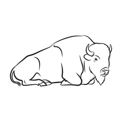 Fundamental Bison Defining Attributes Outlined - Bison vector - Bison Line art - Bison Drawing - Vector Lineart of Bison - Bison illustration - its inherent primary enduring traits


