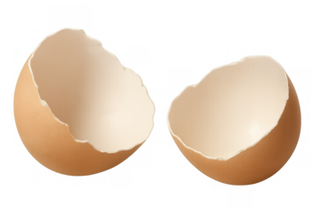 Fragile eggshells scattered on clear surface, representing vulnerability, potential, and transformative power of emerging life