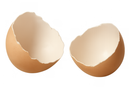 Fragile eggshells scattered on clear surface, representing vulnerability, potential, and transformative power of emerging life