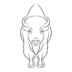 Dominant Bison Massive Form Expressed - Bison vector - Bison Line art - Bison Drawing - Vector Lineart of Bison - Bison icon - its commanding majestic solid shape

