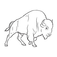 Unmatched Bison Core Identity Defined - Bison vector - Bison Line art - Bison Drawing - Vector Lineart of Bison - Bison icon - its timeless wild resilient spirit


