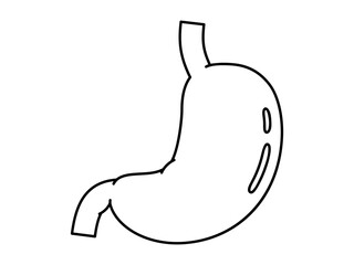 Hand drawn cute outline illustration of stomach. Flat vector abdominal internal organ line art doodle. Digestive system. Health care or anatomy sticker, icon. Examination or diagnostic. Isolated.