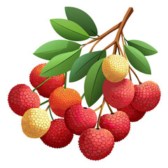 litchi hangs on a branch white background