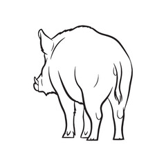 Striking Boar Traits - Boar vector - Boar Line art - Boar Drawing - Vector Lineart of Boar - Boar illustration - specific aspects

