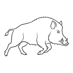 Rugged Boar Anatomy - Boar vector - Boar Line art - Boar Drawing - Vector Lineart of Boar - Boar icon - stout frame


