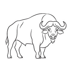 Focused Buffalo Head - Buffalo vector - Buffalo Line art - Buffalo Drawing - Vector Lineart of Buffalo - Buffalo illustration - dominant features

