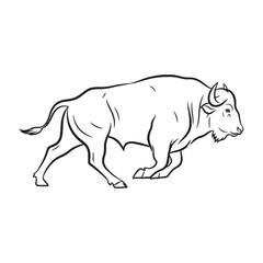Deep Buffalo Essence - Buffalo vector - Buffalo Line art - Buffalo Drawing - Vector Lineart of Buffalo - Buffalo illustration - pure nature


