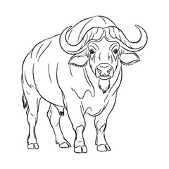 Fundamental Buffalo Attributes - Buffalo vector - Buffalo Line art - Buffalo Drawing - Vector Lineart of Buffalo - Buffalo illustration - inherent aspects

