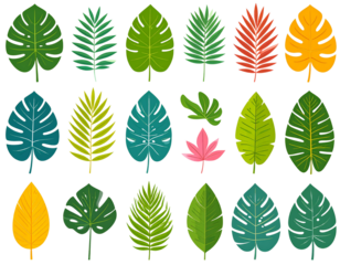 tropical leaf set with vibrant colors, flat style, transparent background