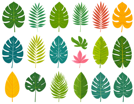 tropical leaf set with vibrant colors, flat style, transparent background