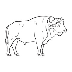 Essence Buffalo Being - Buffalo vector - Buffalo Line art - Buffalo Drawing - Vector Lineart of Buffalo - Buffalo icon - wilderness symbol

