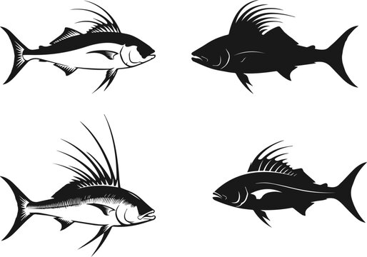 Roosterfish silhouette bundle on isolated background