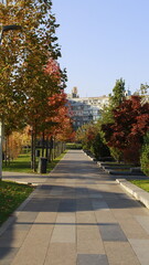 path in autumn park