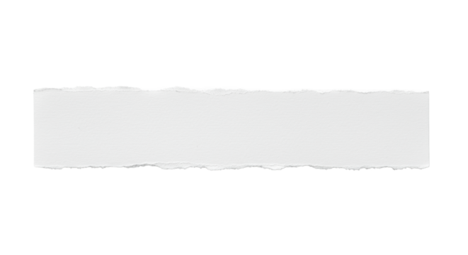 A horizontal strip of blank, textured white paper with fine grain, natural fibers, and jagged torn edges, isolated on a transparent background with copy space and soft studio lighting, concept of