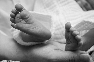 A tender black and white close-up of a newborn baby's tiny feet in loving hands. Symbolizing new...