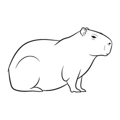 Establishing Capybara Form - Capybara vector - Capybara Line art - Capybara Drawing - Vector Lineart of Capybara - Capybara icon - its enduring appearance


