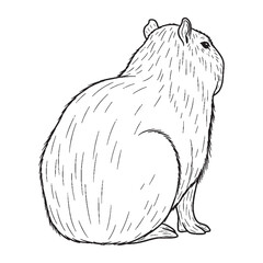 Perceiving Capybara Essence - Capybara vector - Capybara Line art - Capybara Drawing - Vector Lineart of Capybara - Capybara illustration - pure tranquility

