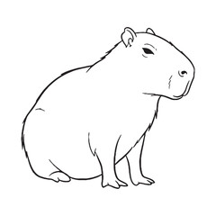 Highlighting Capybara Size - Capybara vector - Capybara Line art - Capybara Drawing - Vector Lineart of Capybara - Capybara illustration - its unique large form


