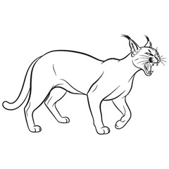 Fototapeta premium Showcasing Caracal Quality - Caracal vector - Caracal Line art - Caracal Drawing - Vector Lineart of Caracal - Caracal illustration - a natural wild entity