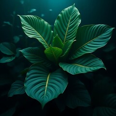 Background of botanical textures with layered leaf ridges