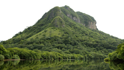 Lush green mountain with rocky cliffs reflected in calm water isolated on transparent background