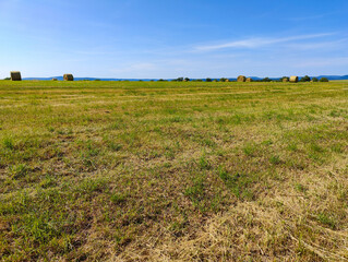 A field of hay bales in the middle of a grassy field