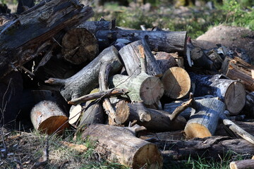 A wooden pile sitting on a green field, perfect for rustic or outdoor themed projects