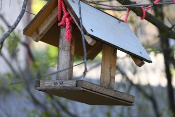 A birdhouse hanging from a tree branch in nature