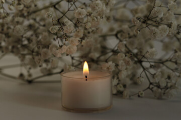 Soft focus blur Burning Candles with flower twig. Evening Light and shadow beige reflection...