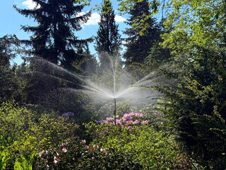 Watering water sprinkler in the garden.
