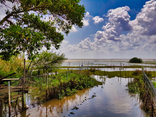 Landing for traditional fishing boats on the shore Thale Noi wetland in Phatthalung Province in Southern Thailand
