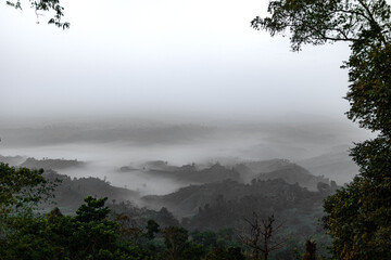 Fototapeta premium Clouds floating above green Sajek trees
