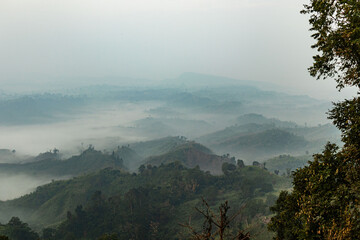 Dense fog blanketing Sajek highland, bangladesh