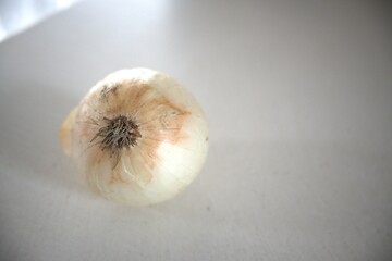 One whole onion with white background close up.