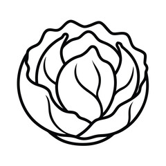 Obraz premium vector illustration of a cabbage 