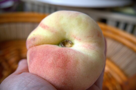 One whole flat peach in basket close up.