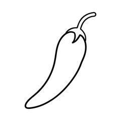 vector illustration of a chili pepper