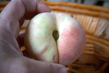 One whole flat peach in basket close up with hand.
